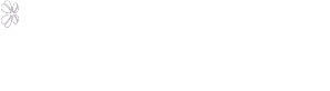 Bonus